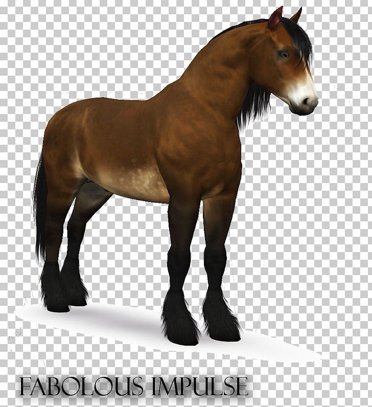 Mare Stallion Foal Mustang Halter PNG, Clipart,  Free PNG Download