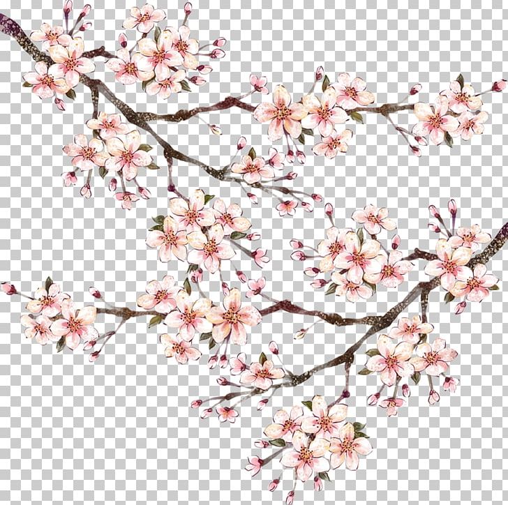 Tangyuan Chinese New Year Lantern Festival First Full Moon Festival PNG, Clipart, Blossom, Branch, Cherry Blossom, Cut Flowers, Editing Free PNG Download