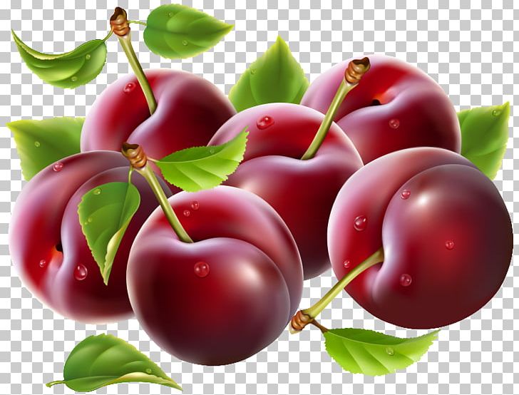 Cherry Fruit PNG, Clipart, Acerola, Acerola Family, Apple, Berry, Cherry Free PNG Download