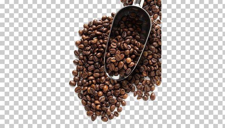 Coffee Beans PNG, Clipart, Coffee Beans Free PNG Download