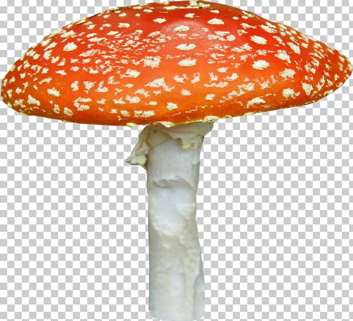 Fungus Amanita Mushroom PNG, Clipart, Agaric, Amanita, Animation, Boletus Edulis, Digital Image Free PNG Download