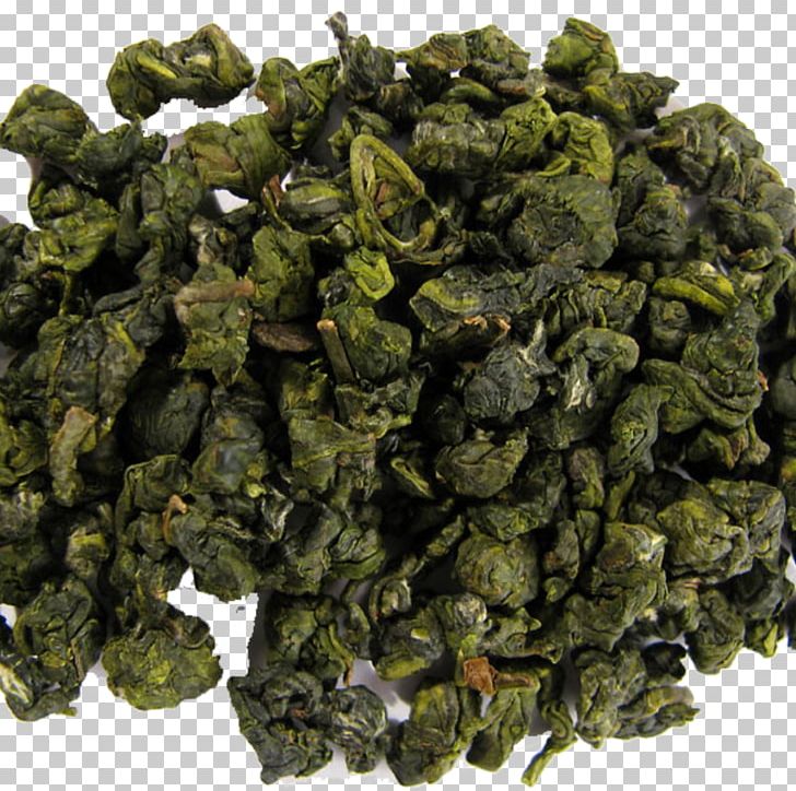 Oolong Green Tea Jin Xuan Tea White Tea PNG, Clipart, Biluochun, Black Tea, Camellia Sinensis, Chinas Famous Teas, Chinese Tea Free PNG Download