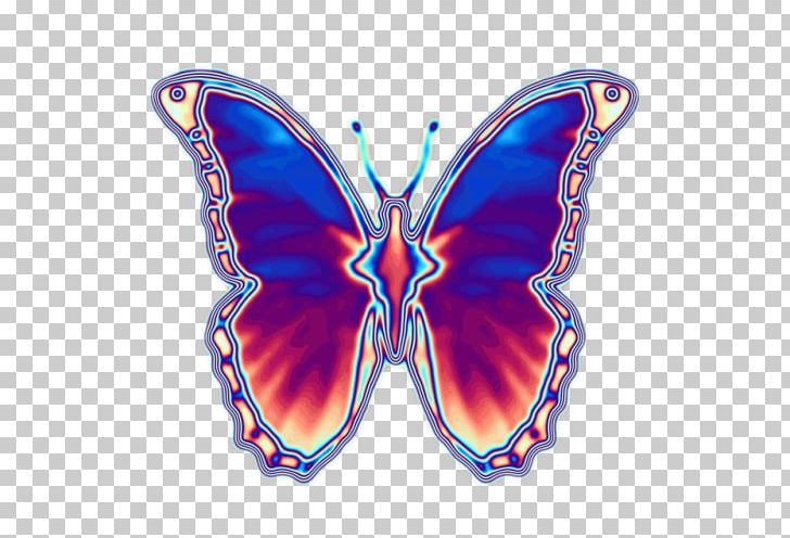 Monarch Butterfly Luna Moth Hawk Moths PNG, Clipart,  Free PNG Download