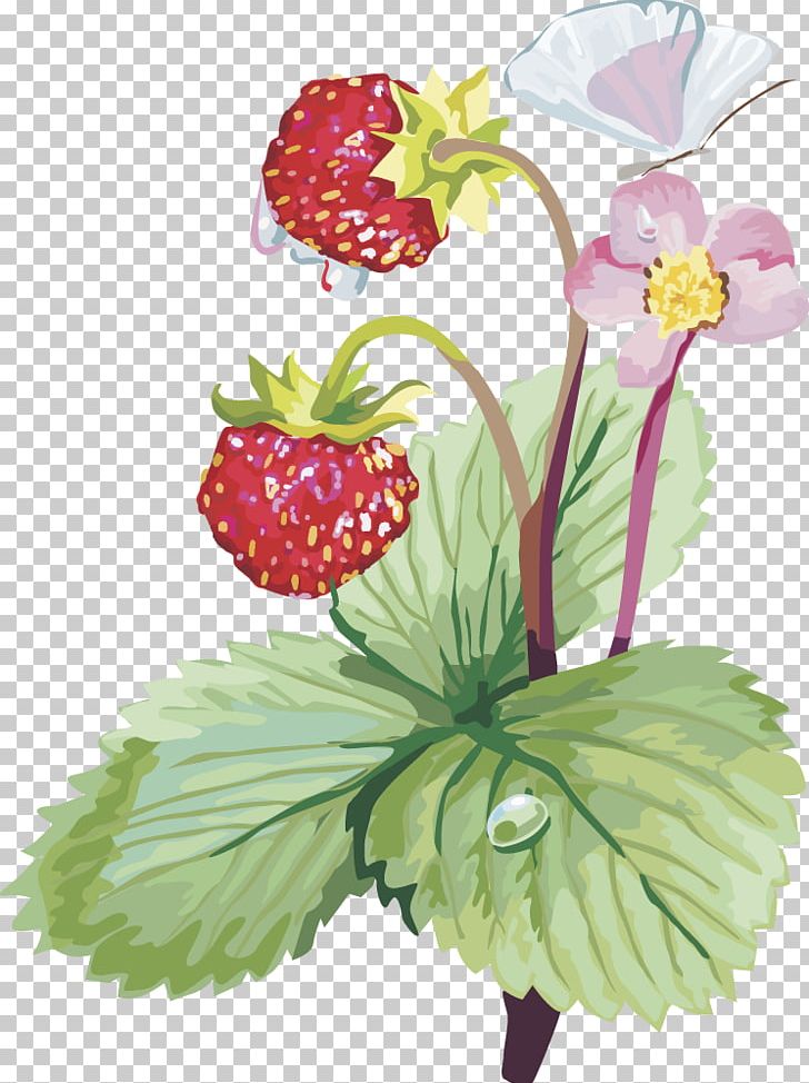 Musk Strawberry PNG, Clipart, Blueberry, Cherry, Flower, Flower Arranging, Fruit Free PNG Download