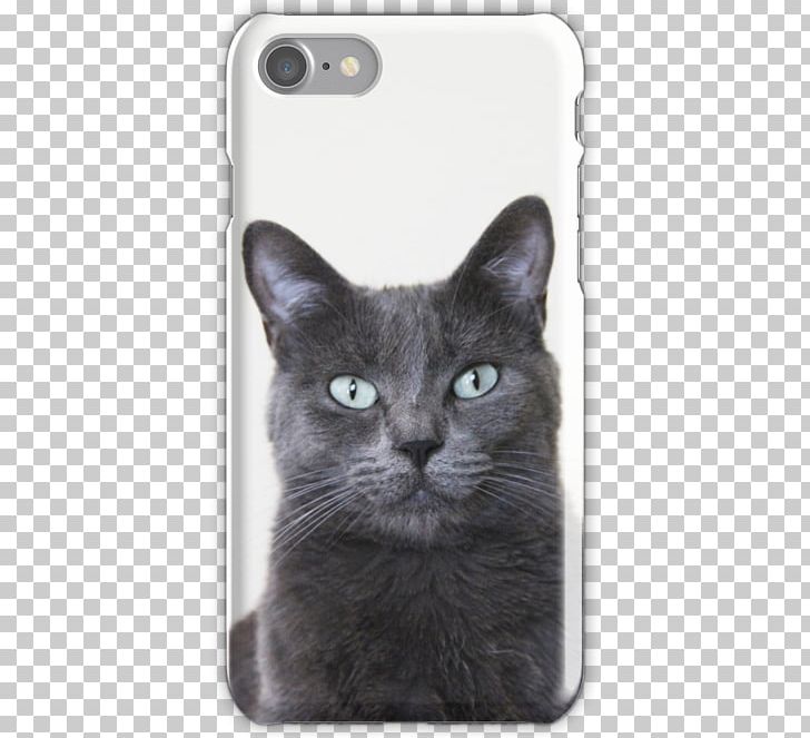 Nebelung Russian Blue Korat Chartreux PNG, Clipart, Black Cat, British Shorthair, Carnivoran, Cat, Cat Like Mammal Free PNG Download