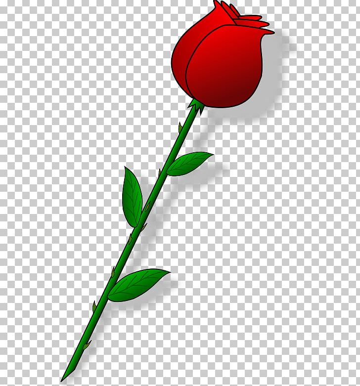 Rose PNG, Clipart, Blog, Bud, Cut Flowers, Document, Flora Free PNG Download
