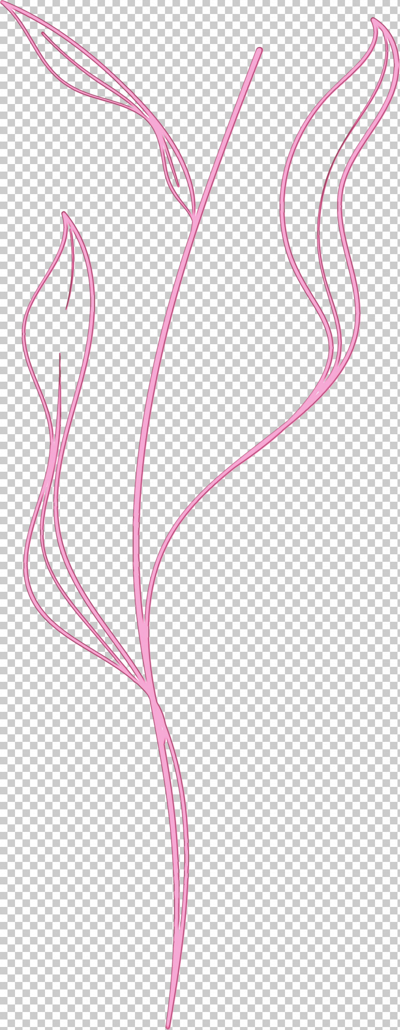 Angle Line Point Pink M Pattern PNG, Clipart, Angle, Area, Line, Meter, Paint Free PNG Download