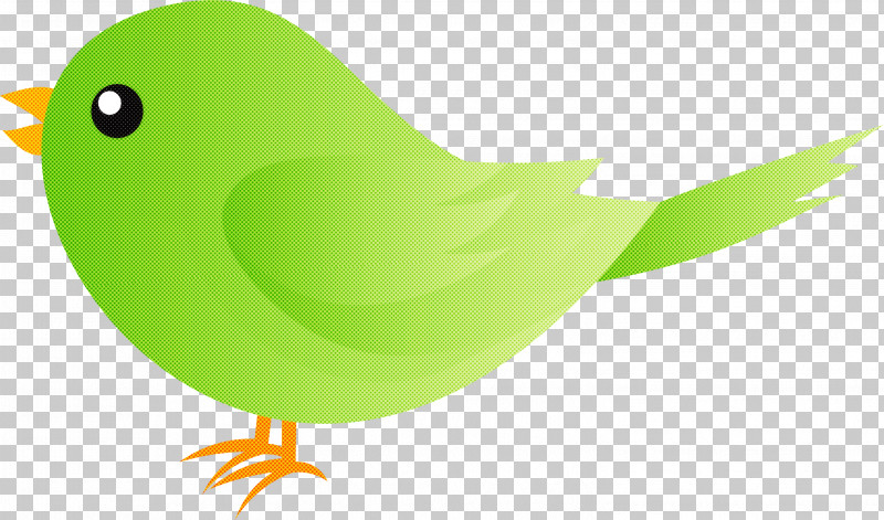 Feather PNG, Clipart, Beak, Bird, Feather, Green, Parrot Free PNG Download