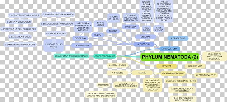 Document Line Technology Brand PNG, Clipart, Area, Brand, Diagram, Document, Line Free PNG Download