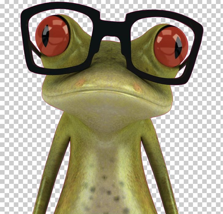 Frog Stock Photography PNG, Clipart, Amphibian, Animals, Drawing, Duvar Resmi, Eyewear Free PNG Download