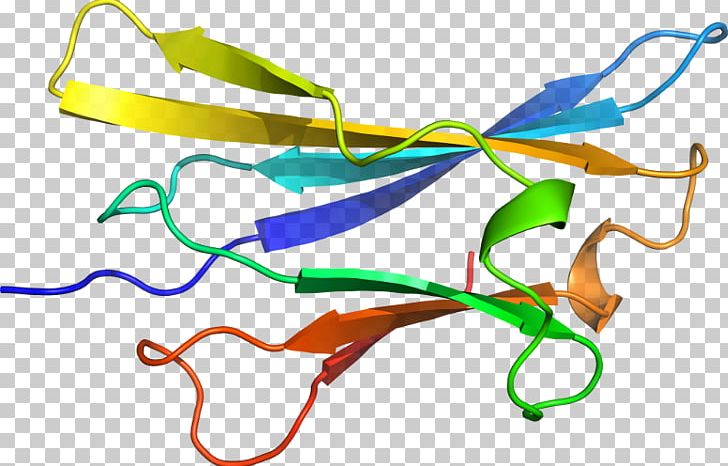 Line PNG, Clipart, Area, Art, Line, Transferrin Receptor Free PNG Download