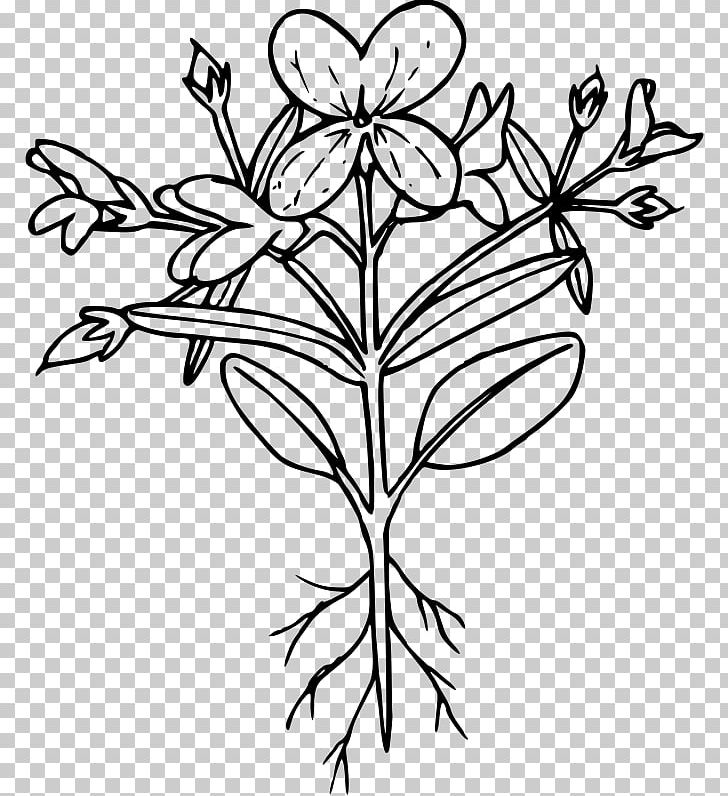 Collinsia Verna Computer Icons PNG, Clipart, Black And White, Blue, Blue Eye, Branch, Computer Icons Free PNG Download