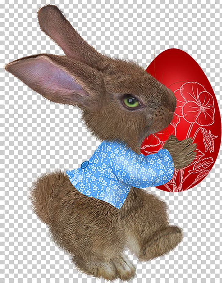 Easter Bunny Domestic Rabbit Paschal Greeting PNG, Clipart, Birthday, Blog, Centerblog, Child, Christmas Free PNG Download