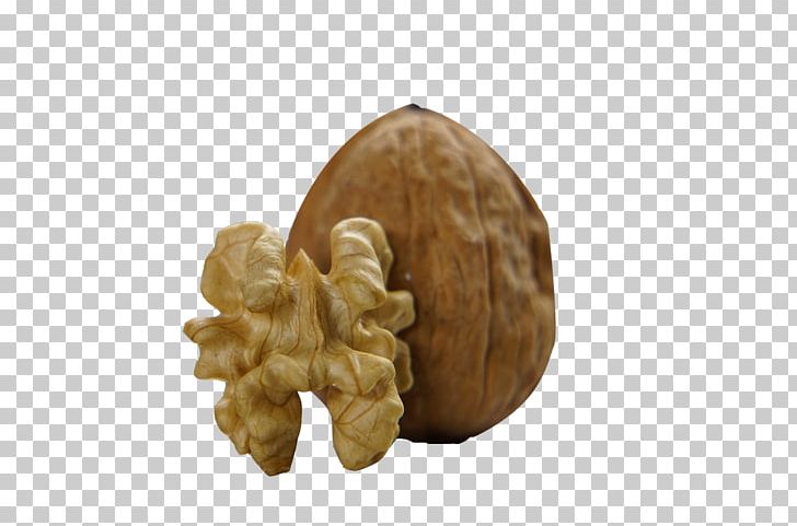 Walnut Mineral Food Pistachio PNG, Clipart, Antique, Antique Walnut, Decorative Elements, Design Element, Dried Fruit Free PNG Download