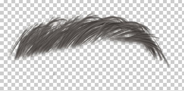 Animaatio Feather Wig Blog PNG, Clipart, Age Of Enlightenment, Animaatio, Author, Bigote, Black Free PNG Download