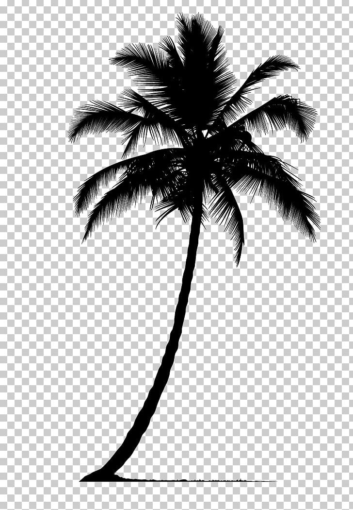 Arecaceae Silhouette Tree PNG, Clipart, Arecaceae, Arecales, Black, Black And White, Borassus Flabellifer Free PNG Download