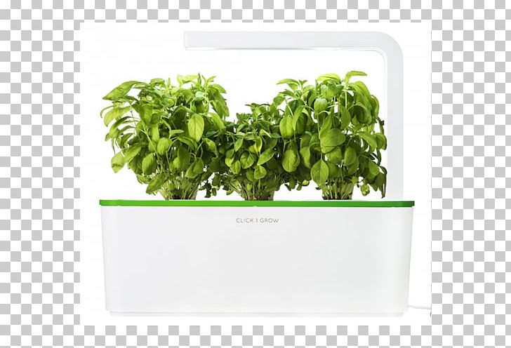 Herb Growing Gardening Click & Grow PNG, Clipart, Basil, Click Grow, Flowerpot, Garden, Gardening Free PNG Download