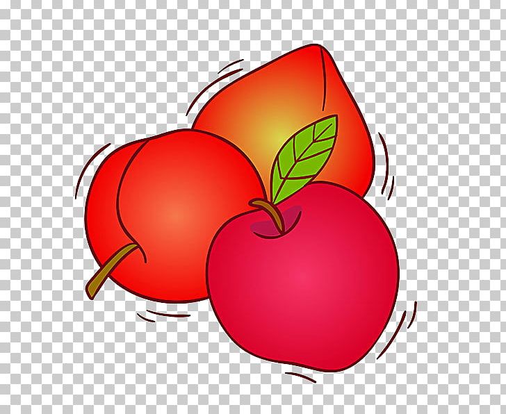 Tomato Fruit Illustration PNG, Clipart, Adobe Illustrator, Apple, Chi, Food, Fruit Free PNG Download