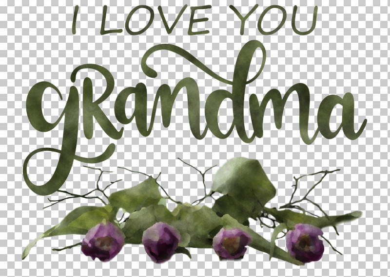 Grandmothers Day Grandma PNG, Clipart, Branching, Floral Design, Flower, Fruit, Grandma Free PNG Download
