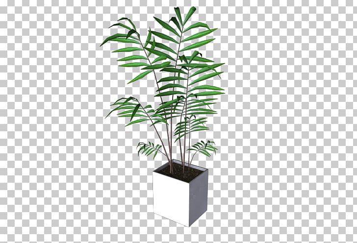 Arecaceae Flowerpot Houseplant Plant Stem Leaf PNG, Clipart, Arecaceae, Arecales, Flowerpot, Houseplant, Leaf Free PNG Download