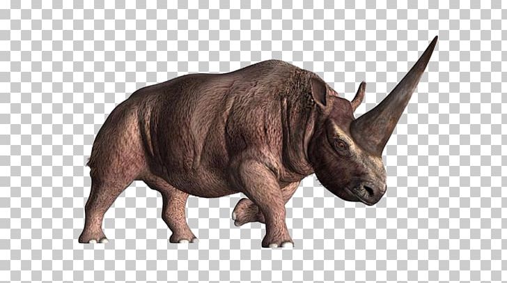 Elasmotherium Horn Unicorn Prehistory Woolly Rhinoceros PNG, Clipart, Animals, Beast, Creative Ads, Creative Artwork, Creative Background Free PNG Download