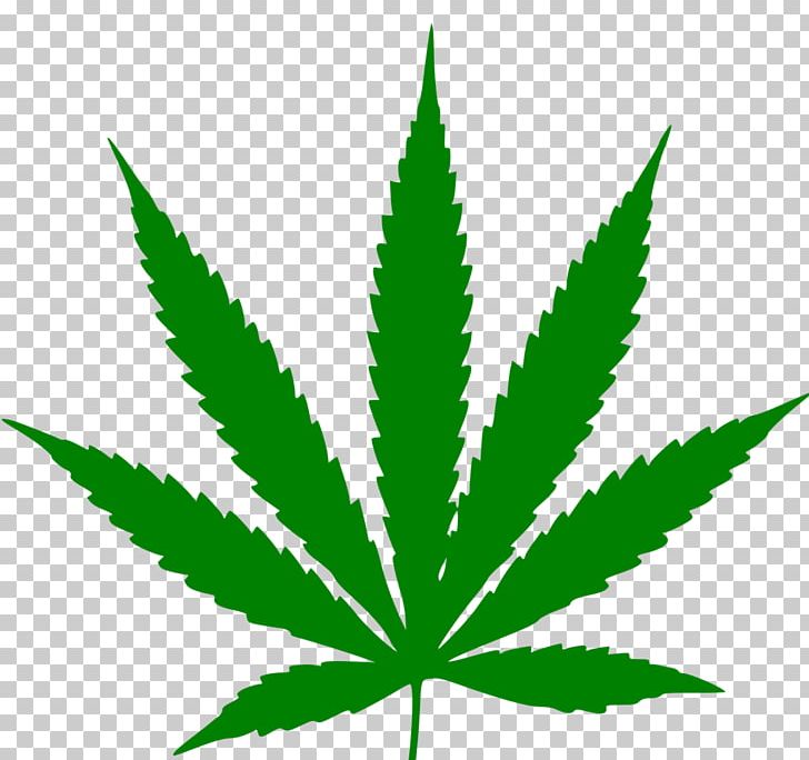 Hash PNG, Clipart, Cannabis, Cannabis Cultivation, Cannabis Ruderalis, Cannabis Smoking, Dispensary Free PNG Download