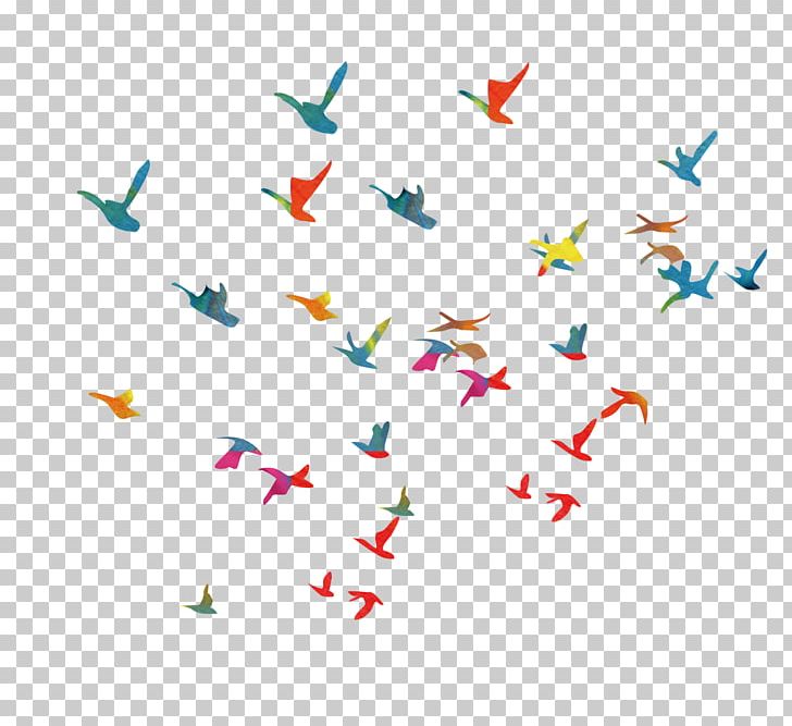 Paper Vecteur PNG, Clipart, Animals, Bird, Color, Colour, Designer Free PNG Download