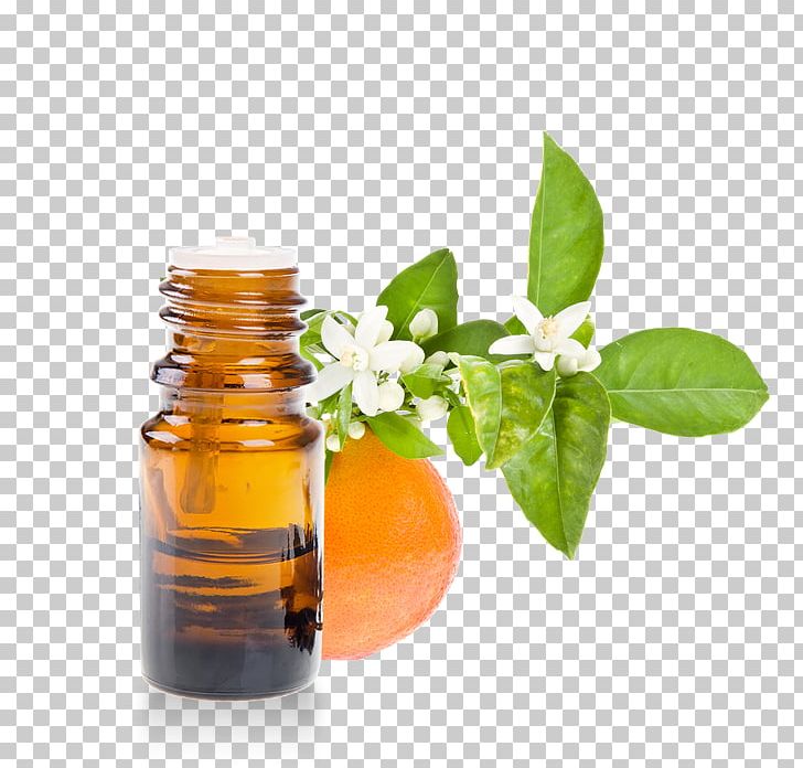 Petitgrain Essential Oil Orange Blossom Herbalism PNG, Clipart, Alternative Health Services, Aromatherapy, Bergamot Orange, Bitter Orange, Carrier Oil Free PNG Download