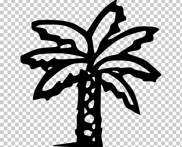 Arecaceae Scalable Graphics PNG, Clipart, Arecaceae, Black And White, Date Palm, Download, Drawing Free PNG Download