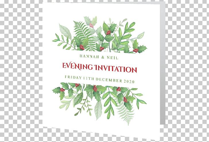 Christmas Ornament Pine Branching Font PNG, Clipart, Aquifoliaceae, Branch, Branching, Christmas, Christmas Decoration Free PNG Download