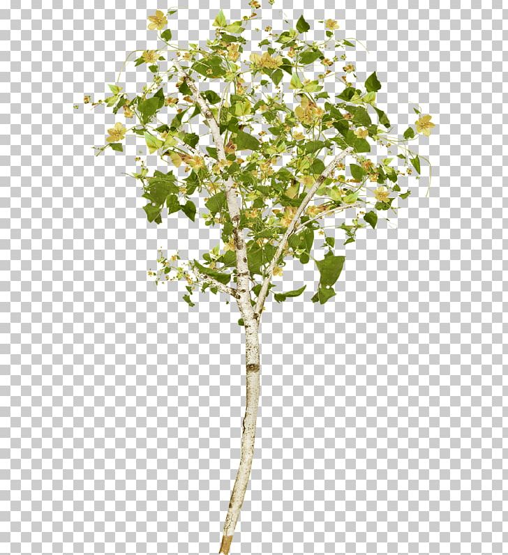 Tree Twig Desktop PNG, Clipart, Blossom, Branch, Clip Art, Color, Desktop Wallpaper Free PNG Download