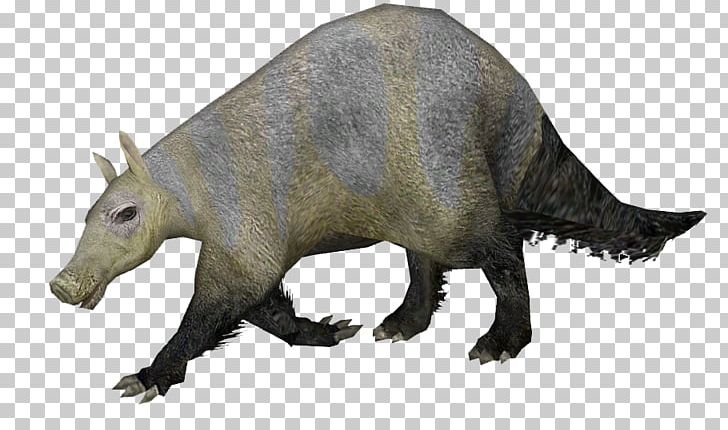 Aardvark Plesiorycteropus Rat Lemurs Koala PNG, Clipart,  Free PNG Download