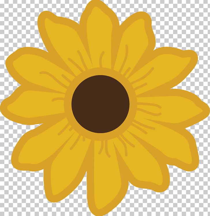 Common Sunflower PNG, Clipart, Blackeyed Susan, Closeup, Color, Common Daisy, Common Sunflower Free PNG Download