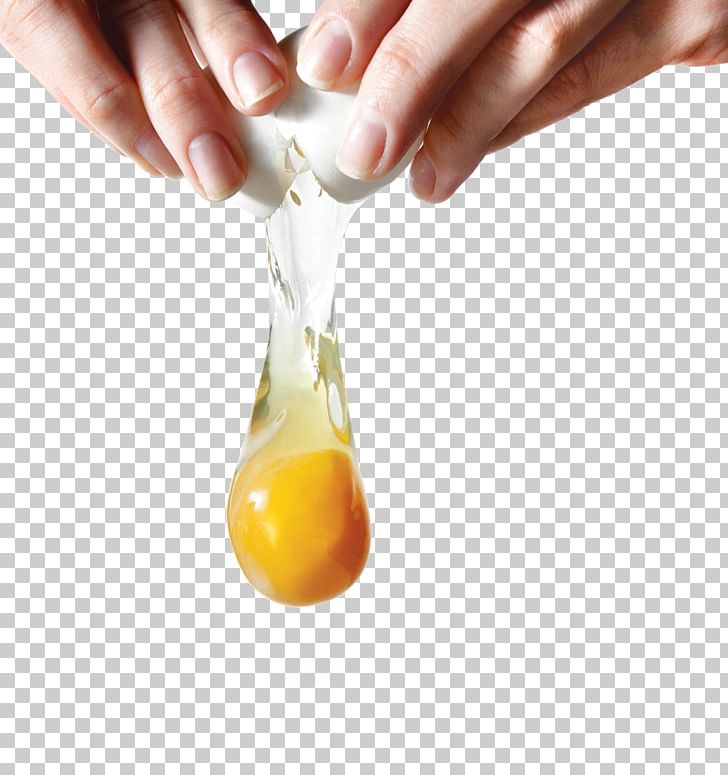 Eggshell Yolk Stock Photography Egg White PNG, Clipart, Cooking, Egg, Eggs, Eggshell, Egg White Free PNG Download