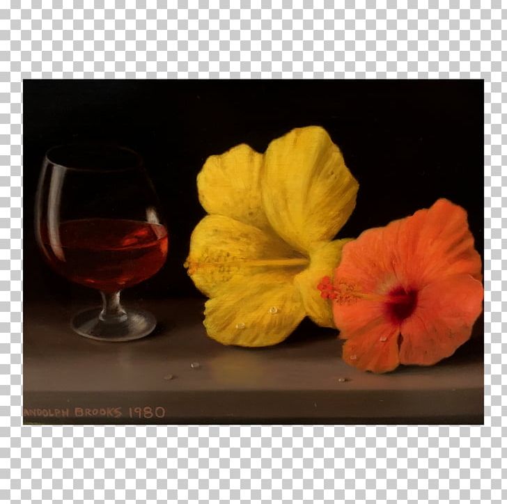 Still Life Photography Still Life Photography Petal 20th Century PNG, Clipart, 20th Century, Americans, Flower, Flowering Plant, Hibiscus Free PNG Download