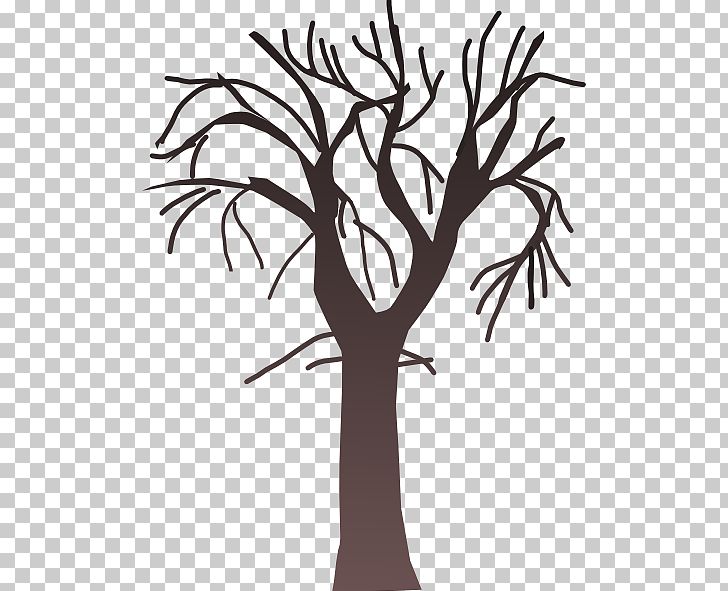 Tree Branch PNG, Clipart, Black And White, Blog, Branch, Color, Flower Free PNG Download