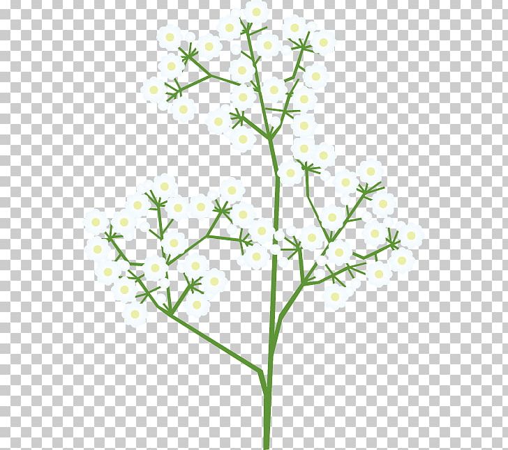 Twig Cut Flowers Plant Stem Flowering Plant PNG, Clipart, Branch, Cut Flowers, Flora, Flower, Flower Illust Free PNG Download