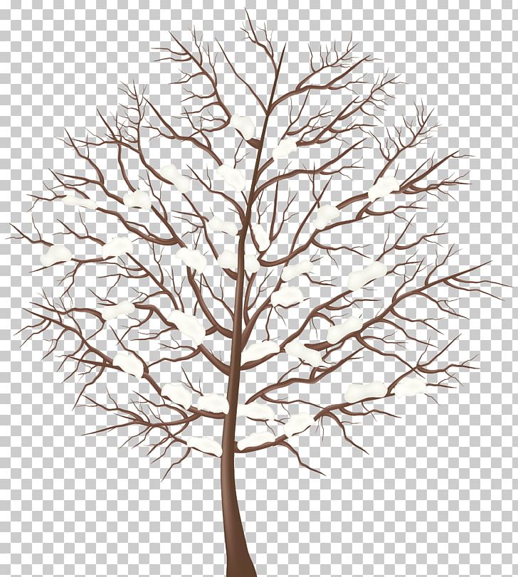 Tree Winter Branch PNG, Clipart,  Free PNG Download