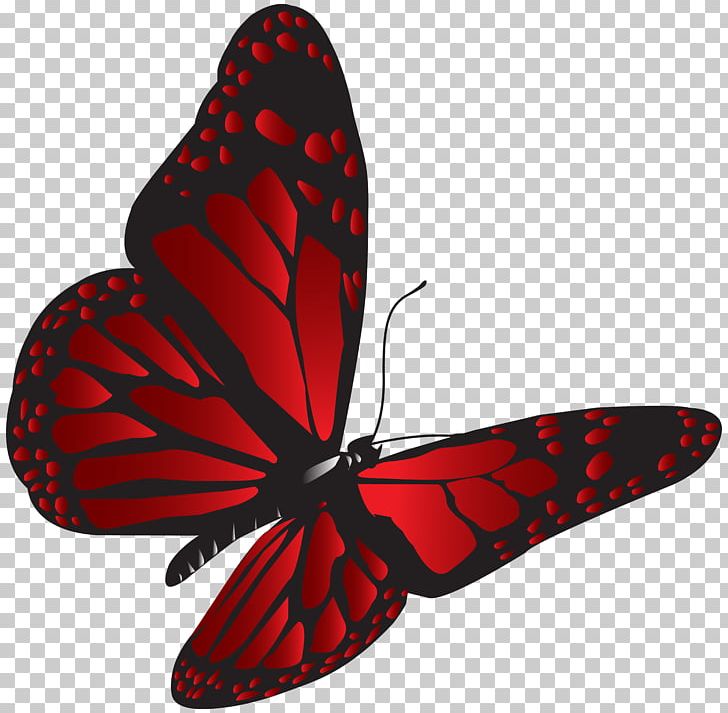 File Formats Lossless Compression PNG, Clipart, Arthropod, Black And White, Blog, Blue, Brush Footed Butterfly Free PNG Download