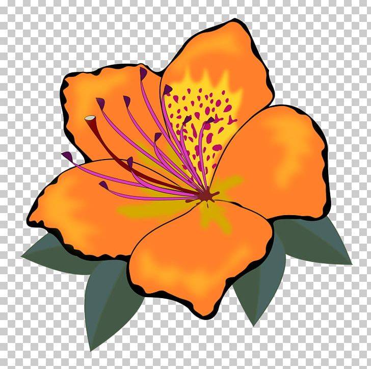 Flower PNG, Clipart, Download, Drawing, Flora, Floral Design, Floristry Free PNG Download