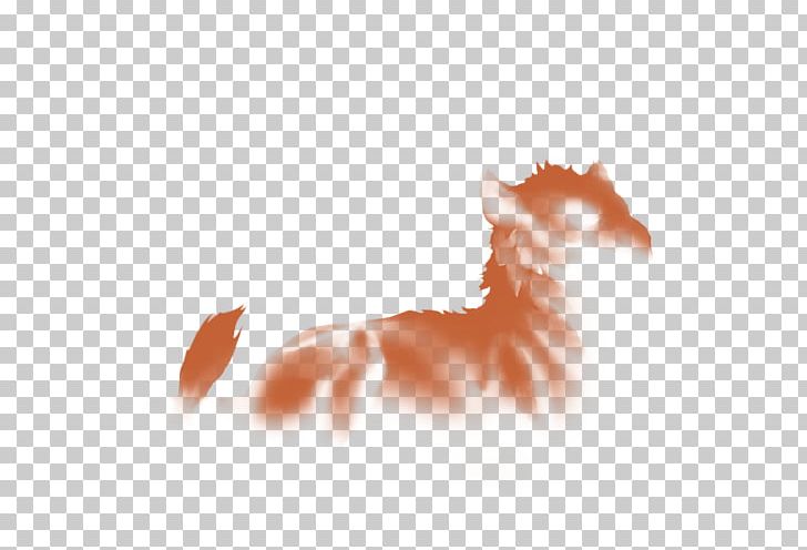 Lion Whiskers Mane Agility Endurance PNG, Clipart, Agility, Animals, Canidae, Carnivoran, Cat Free PNG Download