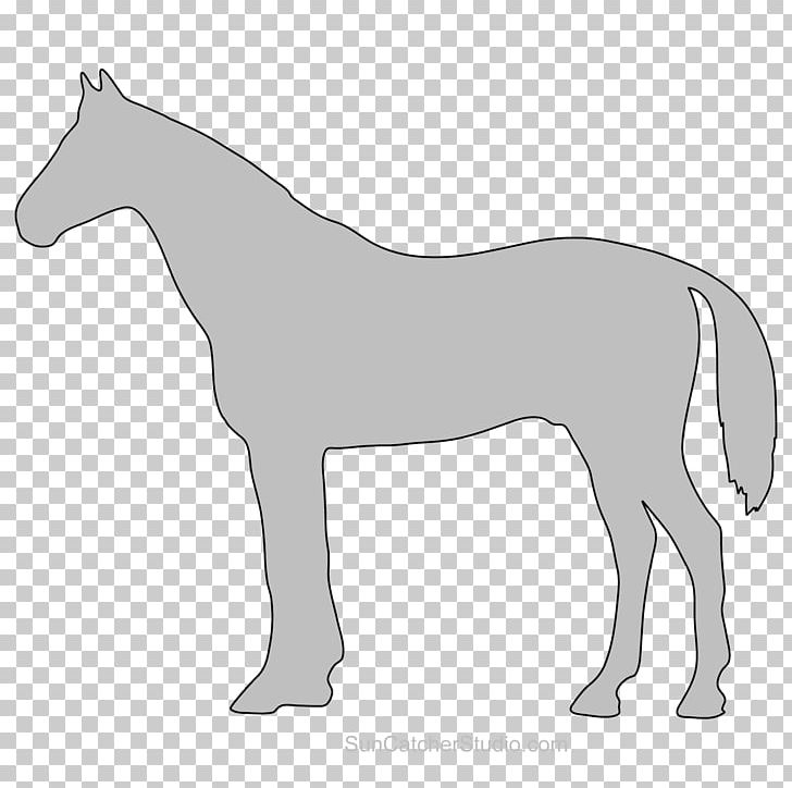 Mule Foal Stallion Mare Colt PNG, Clipart, Animal, Black And White, Bridle, Colt, Foal Free PNG Download