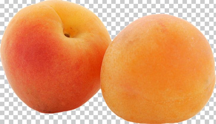 Apricot PNG, Clipart, Apricot Free PNG Download