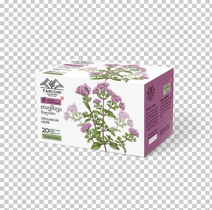 Lilac Aloe Vera Lavender Violet Purple PNG, Clipart, Acne, Aloe Vera, Dermatitis, Dermatology, Discoveresearch Inc Free PNG Download