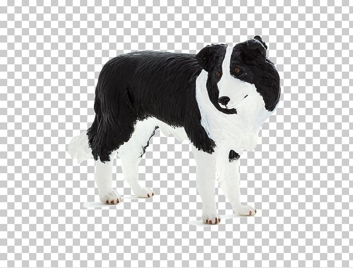 Barbara Sykes' Training Border Collies Rough Collie Dalmatian Dog Puppy PNG, Clipart,  Free PNG Download