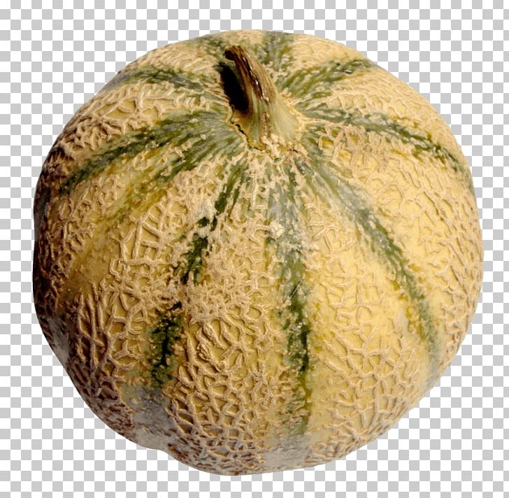 Cantaloupe Portable Network Graphics Galia Melon Hami Melon PNG, Clipart, Calabaza, Cantaloupe, Commodity, Cucumber Gourd And Melon Family, Cucumis Free PNG Download