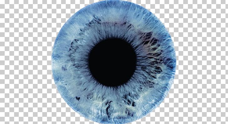 Eye Color Light Iris Human Eye PNG, Clipart, Adaptation, Blue, Circle, Closeup, Color Free PNG Download