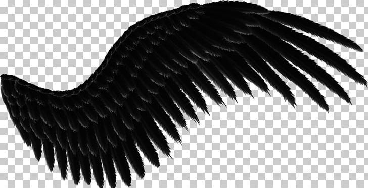 Wing Gift Carnival PNG, Clipart, 2014, Asas, As Asas Png Graacutetis, Beak, Black And White Free PNG Download