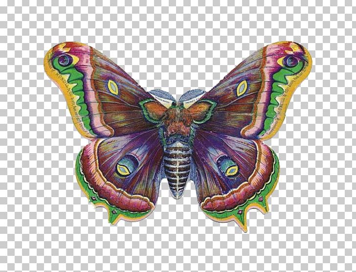 Butterfly Victorian Era PNG, Clipart, Blog, Blue Butterfly, Brush Footed Butterfly, Butterflies, Butterfly Group Free PNG Download
