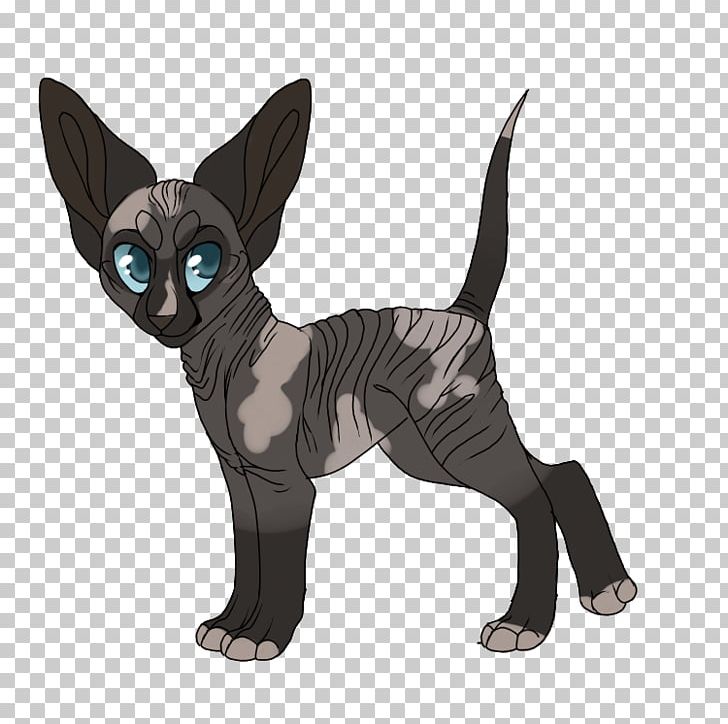 Devon Rex Whiskers Kitten Domestic Short-haired Cat Dog PNG, Clipart, Animal, Animal Figure, Animals, Canidae, Carnivoran Free PNG Download